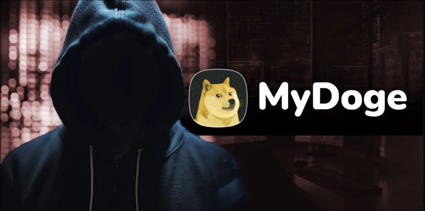 MyDogeWallet Faces Another Hack: Community Response and Security Insights Following Identification of the Hacker